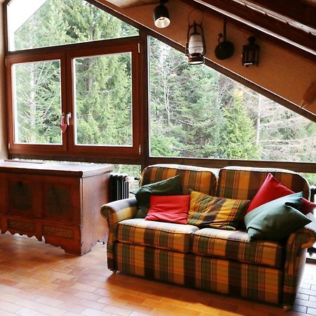 Fewo Schwarzwaldblick, 3 Schlafzimmer Todtnau-Muggenbrunn, Liftverbund Feldberg Екстер'єр фото