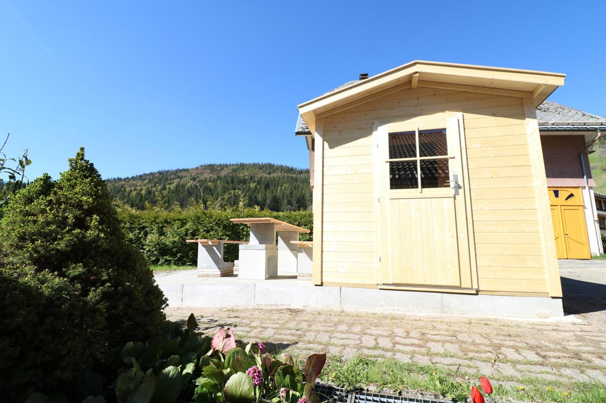 Fewo Schwarzwaldblick, 3 Schlafzimmer Todtnau-Muggenbrunn, Liftverbund Feldberg Екстер'єр фото