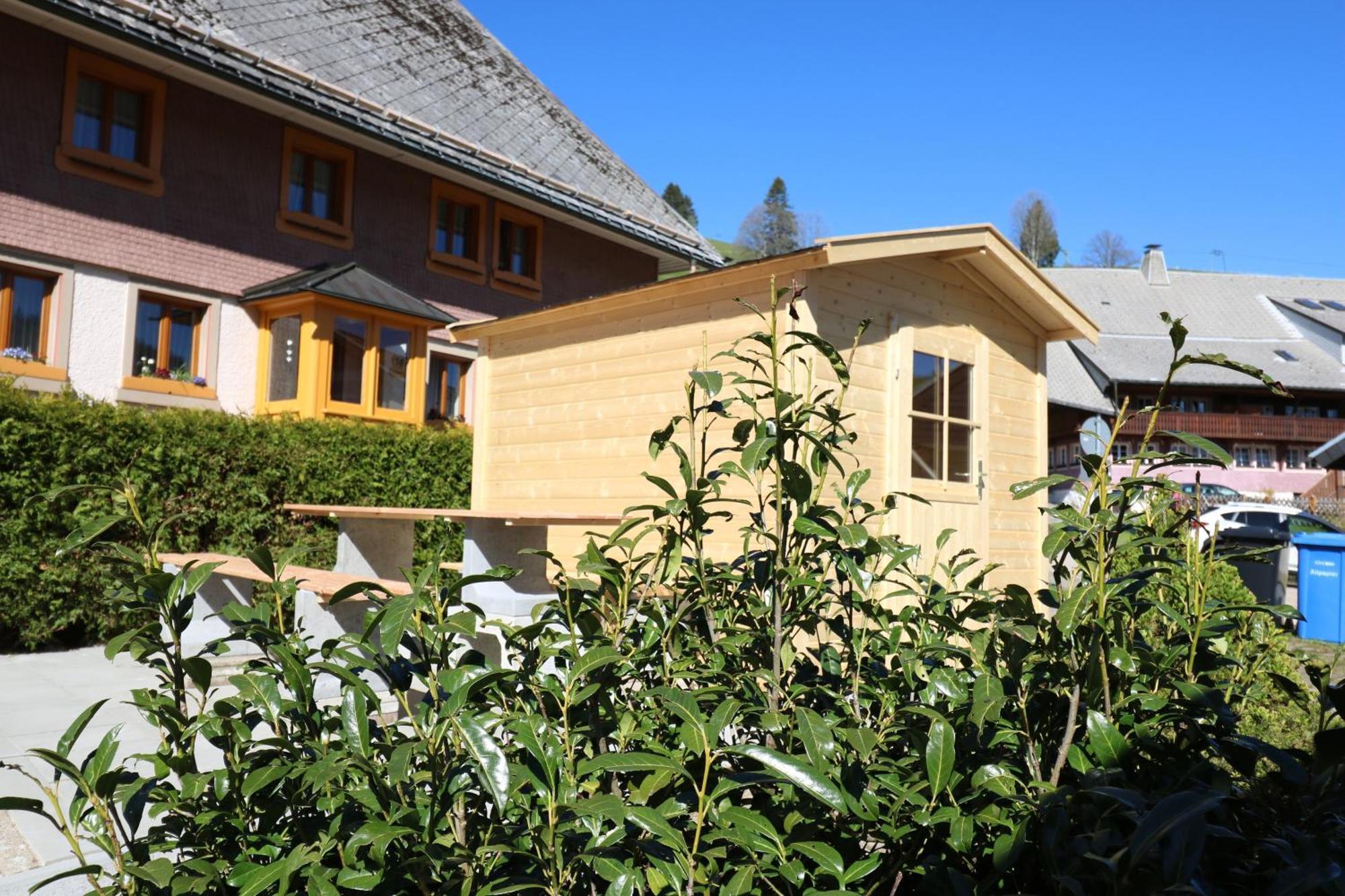 Fewo Schwarzwaldblick, 3 Schlafzimmer Todtnau-Muggenbrunn, Liftverbund Feldberg Екстер'єр фото