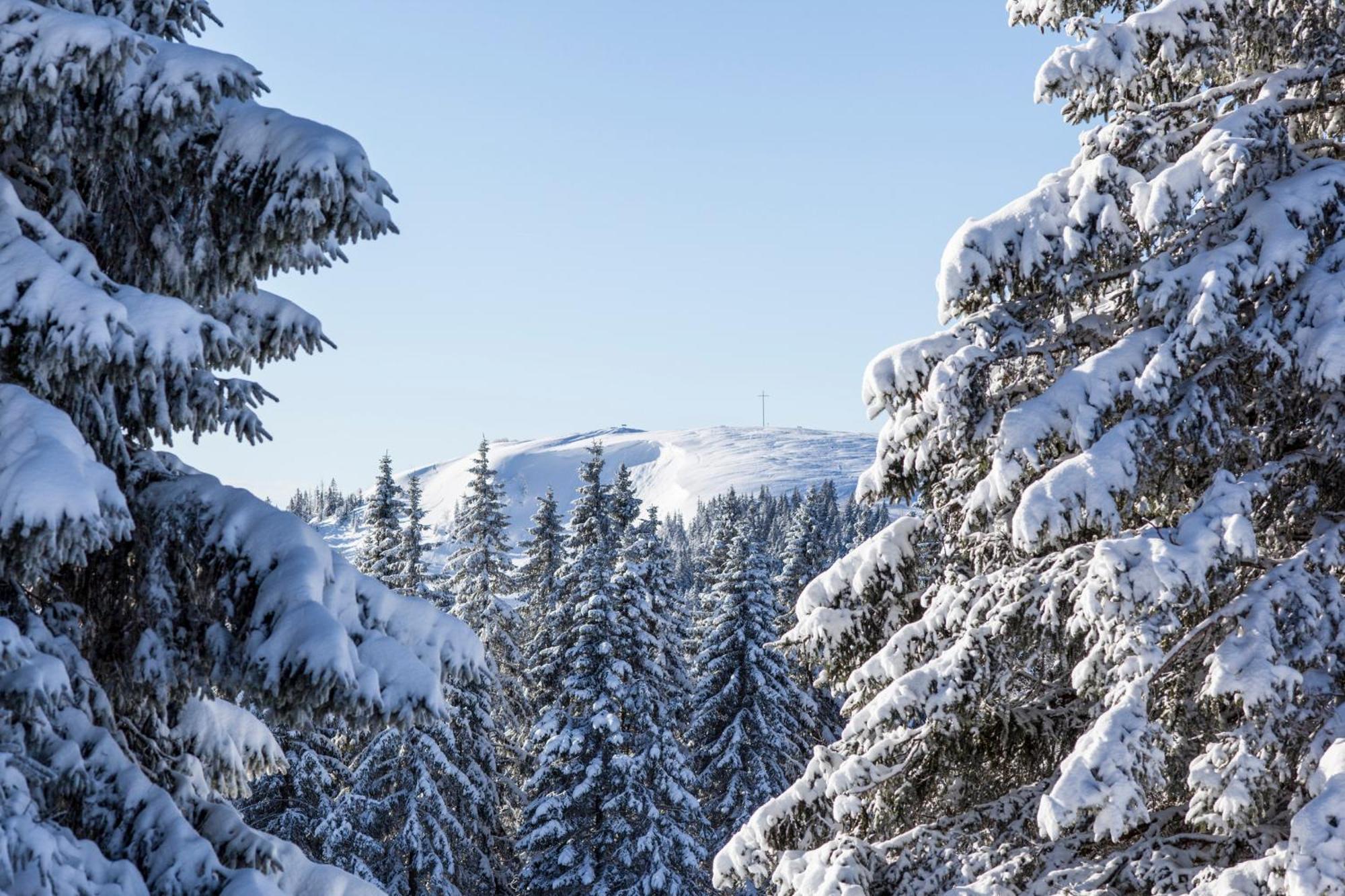 Fewo Schwarzwaldblick, 3 Schlafzimmer Todtnau-Muggenbrunn, Liftverbund Feldberg Екстер'єр фото