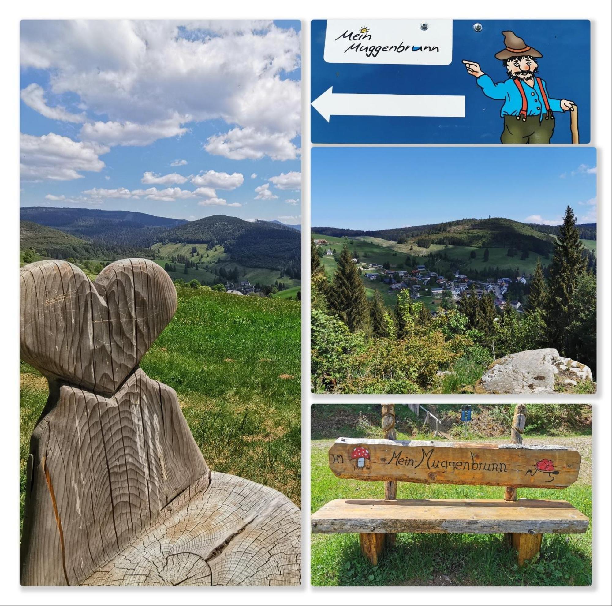 Fewo Schwarzwaldblick, 3 Schlafzimmer Todtnau-Muggenbrunn, Liftverbund Feldberg Екстер'єр фото